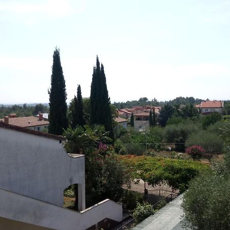 Villa Carolina Tar-Vabriga المظهر الخارجي الصورة